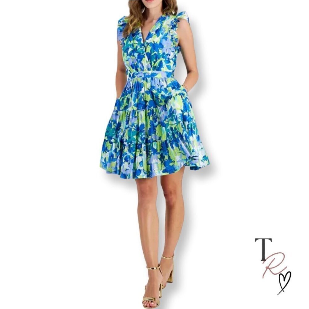 Taylor Sleeveless Abstract Floral Print A-Line V-Neck Dress Size Small